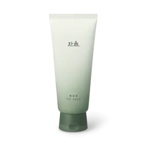 HANYUL ARTEMISIA Mild Cleansing Foam 150g