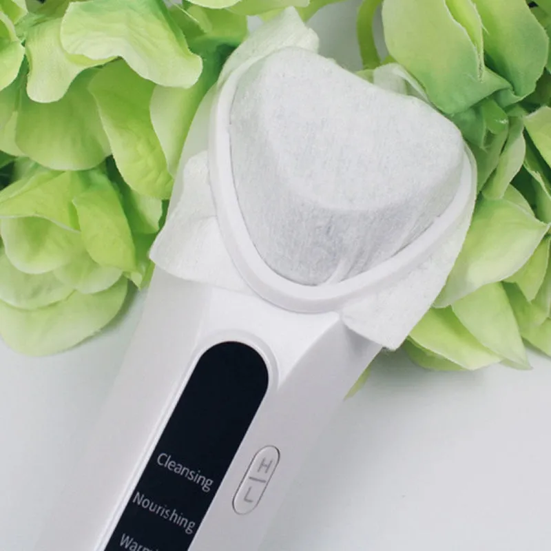 Home facial beauty instrument