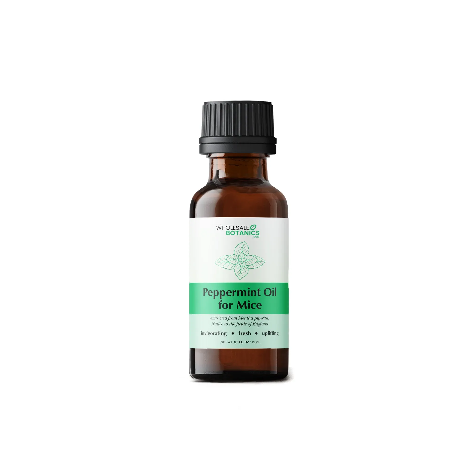 Peppermint Oil for Mice