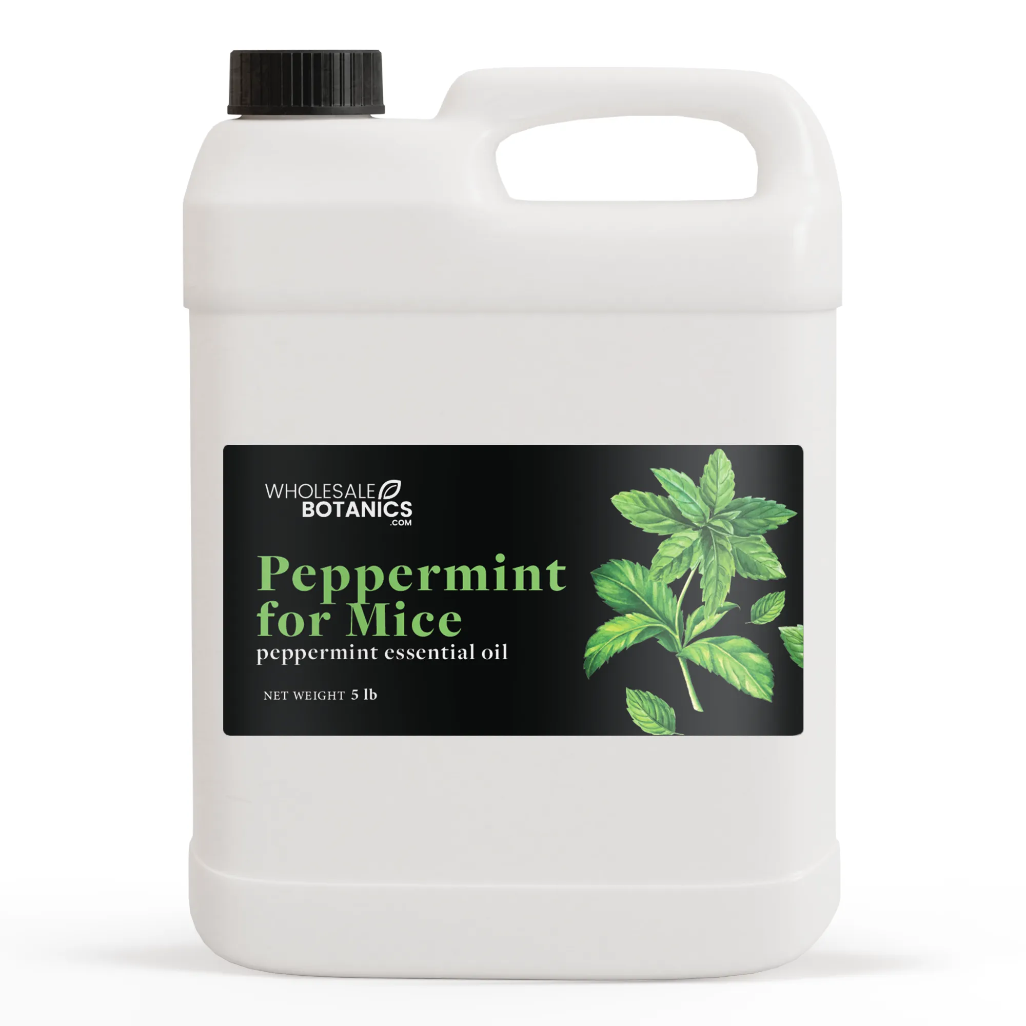 Peppermint Oil for Mice