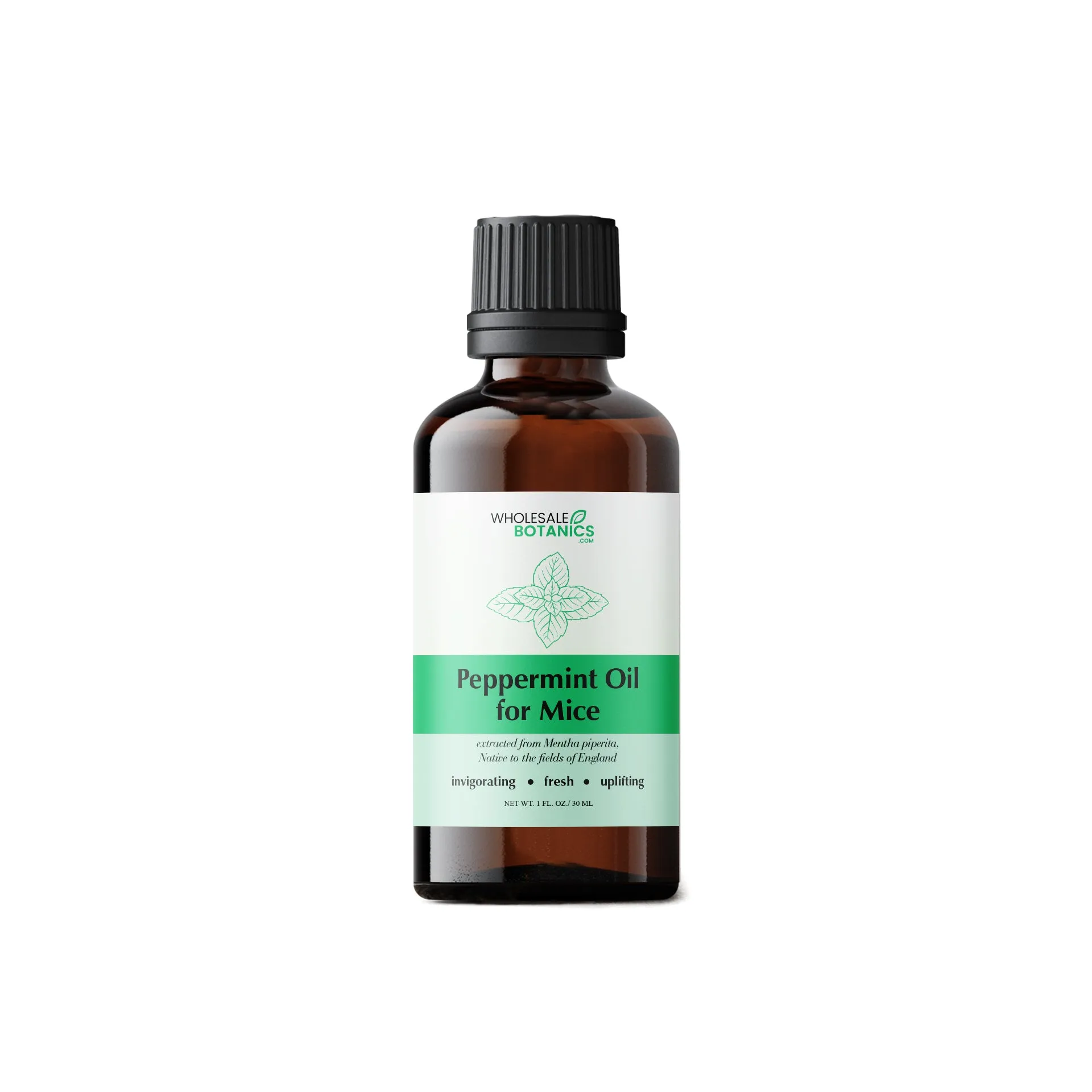 Peppermint Oil for Mice