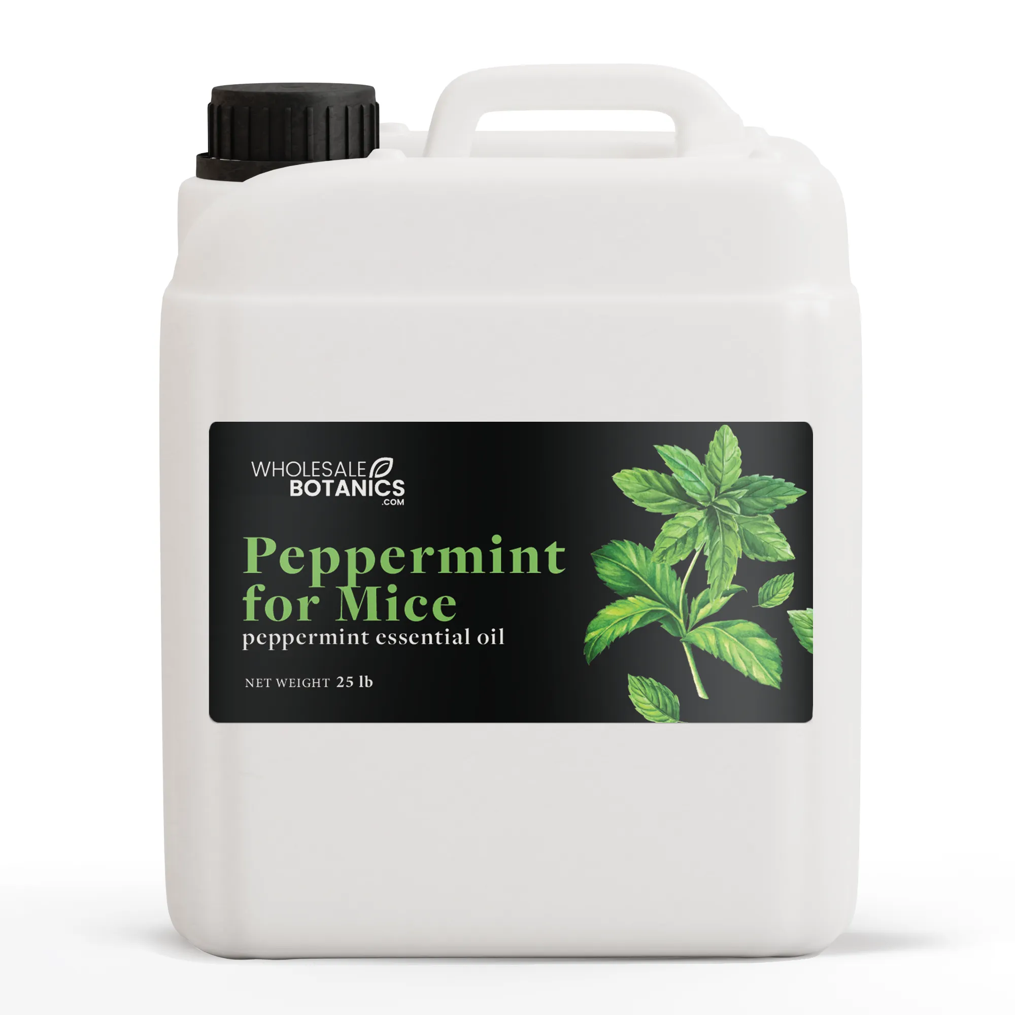 Peppermint Oil for Mice